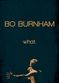 Film Bo Burnham: what.