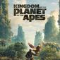 Poster 13 Kingdom of the Planet of the Apes