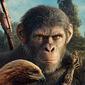 Poster 12 Kingdom of the Planet of the Apes