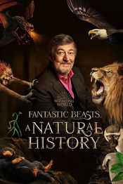 Poster Fantastic Beasts: A Natural History