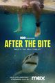 Film - After the Bite