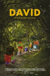 Poster David