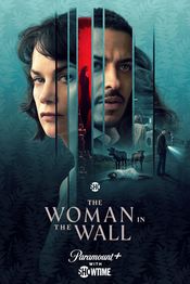 Poster The Woman in the Wall