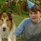 Foto 21 Lassie - Ein neues Abenteuer
