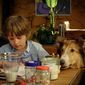 Foto 11 Lassie - Ein neues Abenteuer