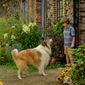 Foto 12 Lassie - Ein neues Abenteuer