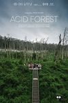 Pădurea acidă