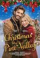 Film - Christmas in Pine Valley