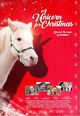 Film - A Unicorn for Christmas