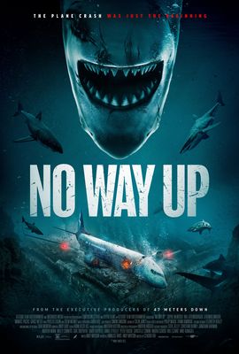 No Way Up poster