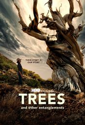 Poster Trees, and Other Entanglements