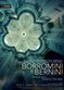 Film Borromini e Bernini. Sfida alla perfezione