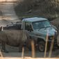 Thabo and the Rhino Case/Thabo și cazul rinocerului