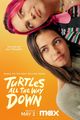 Film - Turtles All the Way Down