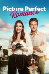 Poster Picture Perfect Romance