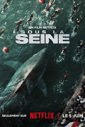 Poster Sous la Seine