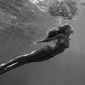 Parthenope/Parthenope