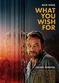 Film What You Wish For
