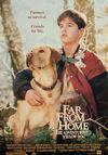 Far from Home: The Adventures of Yellow Dog