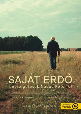 Saját erdő poster