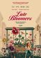 Film Late Bloomers