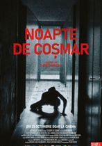 Noapte de coșmar