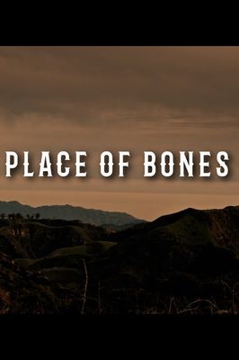 Place of Bones poster