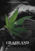 Grassland