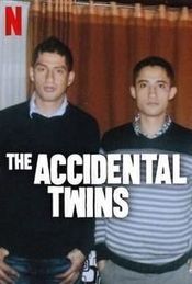 Poster The Accidental Twins