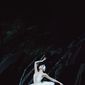 Swan Lake/Baletul Regal: Lacul lebedelor