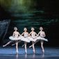 Swan Lake/Baletul Regal: Lacul lebedelor