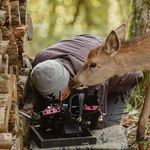 Imagine din galeria filmului Bambi: A Tale of Life in the Woods