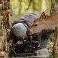 Bambi: A Tale of Life in the Woods/Bambi: O poveste din pădure