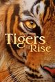 Film - Tigers on the Rise