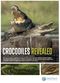 Film Crocodiles Revealed