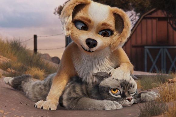 Gracie and Pedro: Pets to the Rescue
