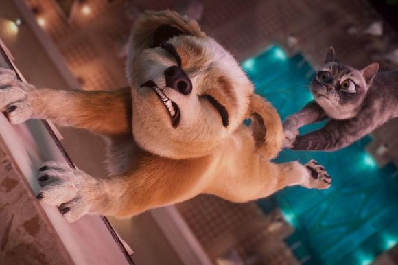 Gracie and Pedro: Pets to the Rescue