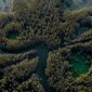 Caddo Lake/Caddo Lake