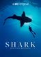 Film Shark with Steve Backshall