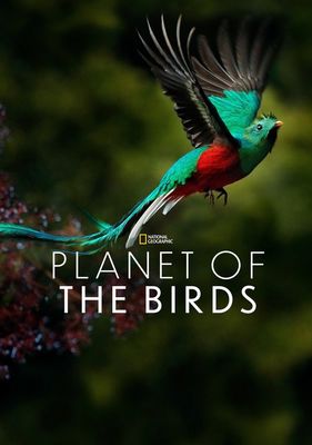 Planet of the Birds poster