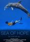 Film Sea of Hope