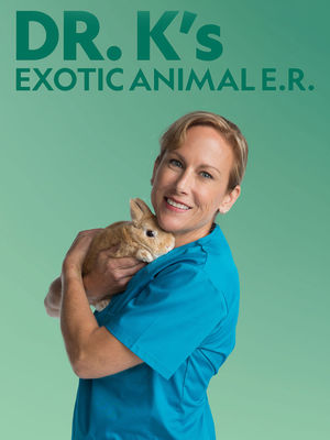 Dr. K's Exotic Animal E.R. poster