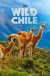 Sălbaticul Chile