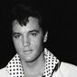 Return of the King: The Fall and Rise of Elvis Presley/Întoarcerea Regelui: Ascensiunea și decăderea lui Elvis Presley