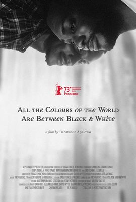 All the Colours of the World Are Between Black and White poster