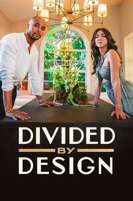 Divided by Design poster