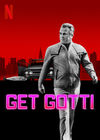 Prinderea lui Gotti
