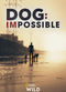 Film Dog: Impossible