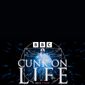 Poster 3 Cunk on Life