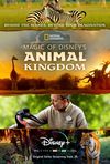 În inima Disney - Animal Kingdom